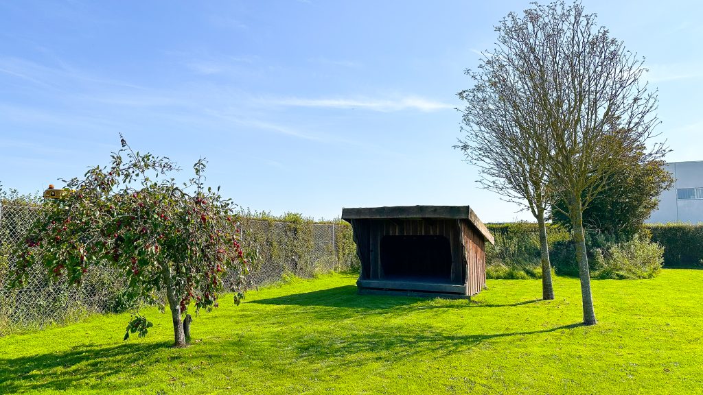 SEMAI-Røllikehus-11