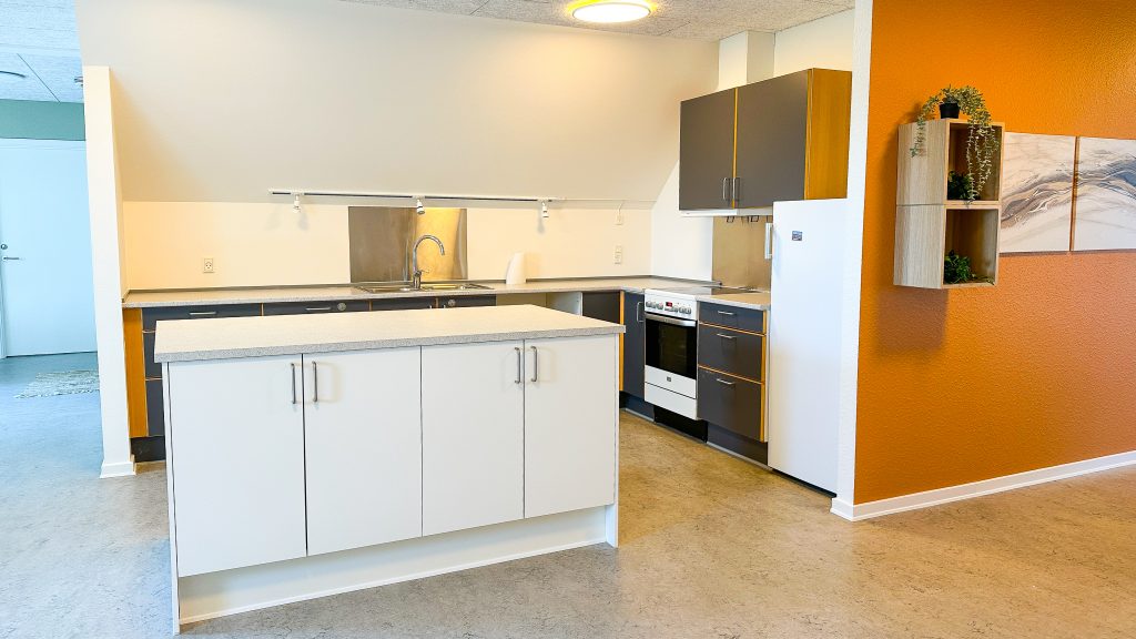 SEMAI-Røllikehus-39