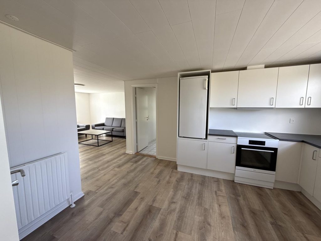 Vidstrup-20250827T095316_27